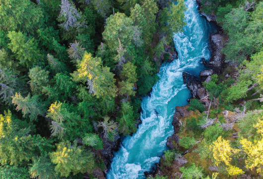 An aerial image of a stream flowing through trees