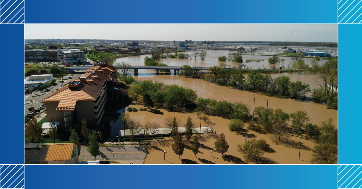 Muddy River Floods Buildings & Trees