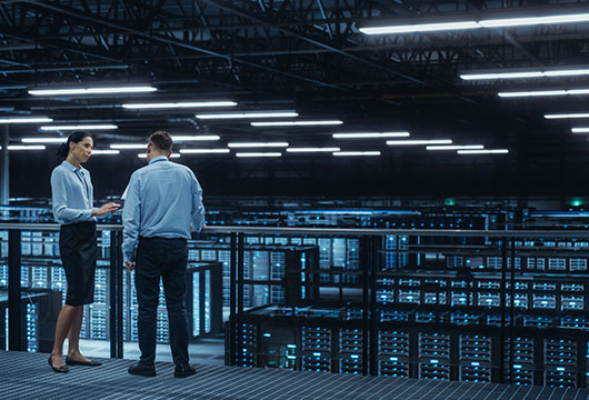 An image of a male and female professional standing on a landing overlooking a data center